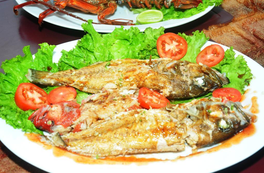 Angel Rest Hotel Mirissa Bagian luar foto
